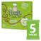 Apple Fruit Strings 5 x 20g ESF-356 - Image 2