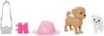 Barbie And Stacie Doll Set with 2 Pet Dogs HRM09 - Image 2