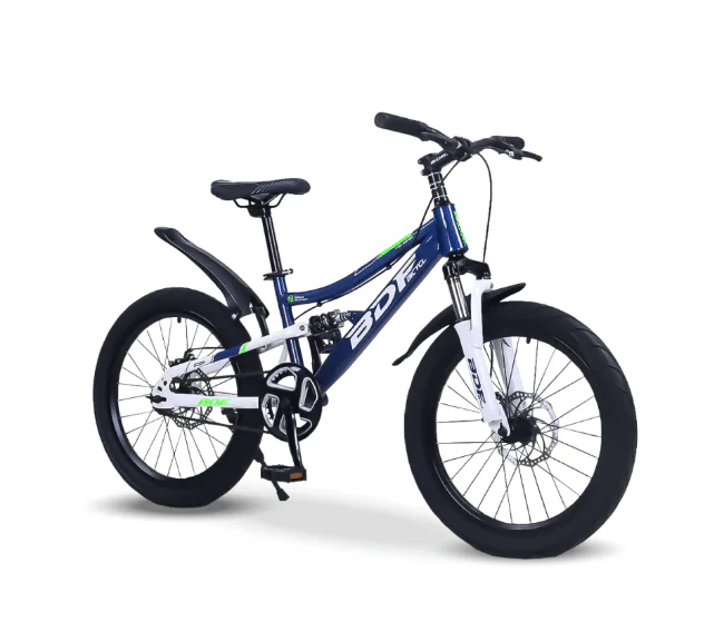 Bicycle 20 inch BDF Blue