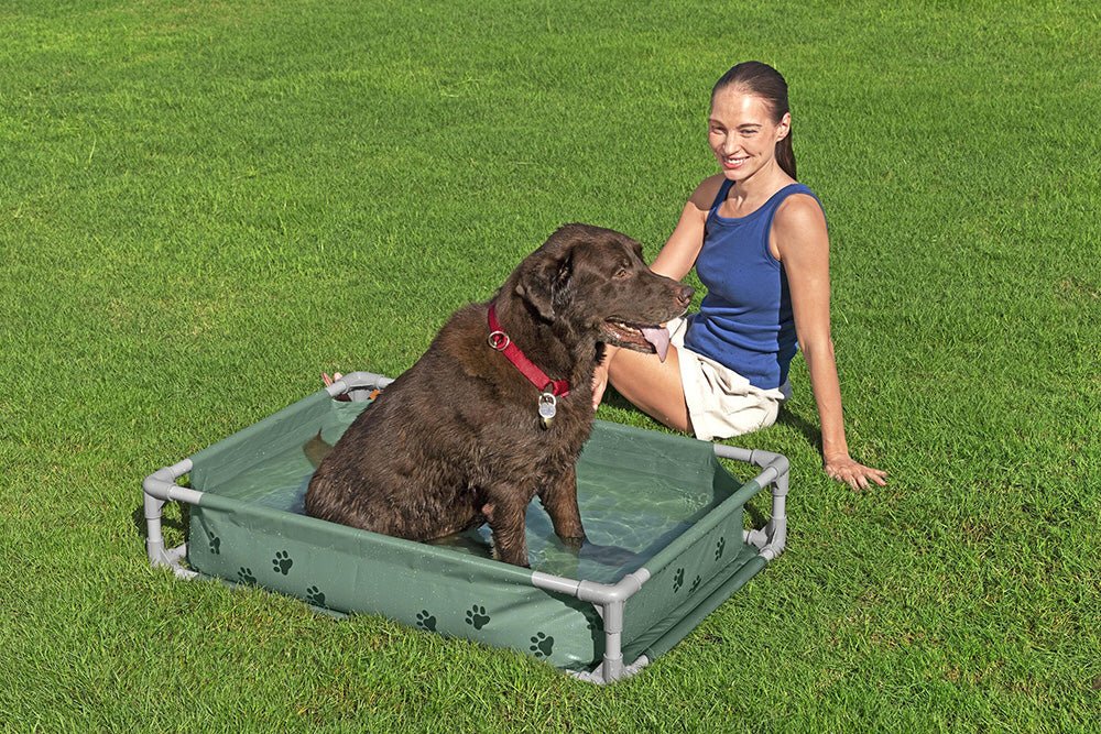 Bestway Fetchin Fun Pet Play Pool And Elevated Bed 561RG - Image 3