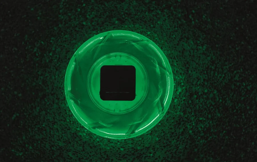 Bestway Flowclear Solar Float Lamp 58111 - Image 4