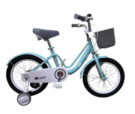 Bicycle 16 Muddy Fox Blue MF001