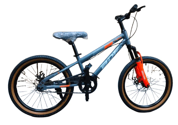 Bicycle 20 BDF Grey B11394