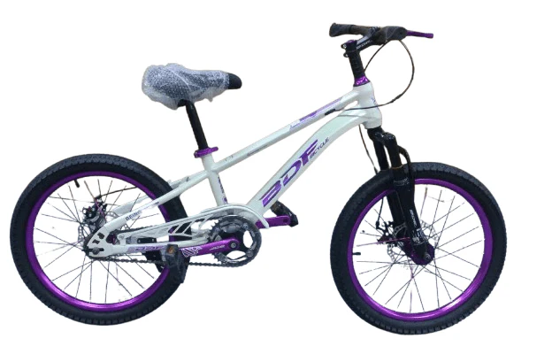 Bicycle 20 BDF Purple B11470