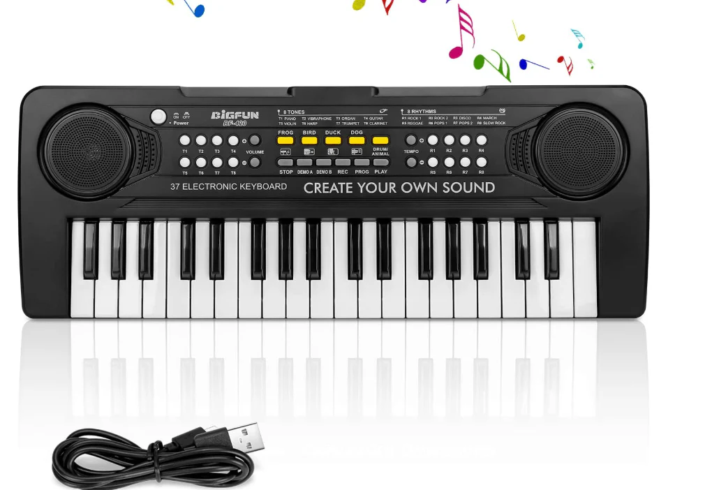 Bigfun Electronic Keyboard 37 Keys BF-420