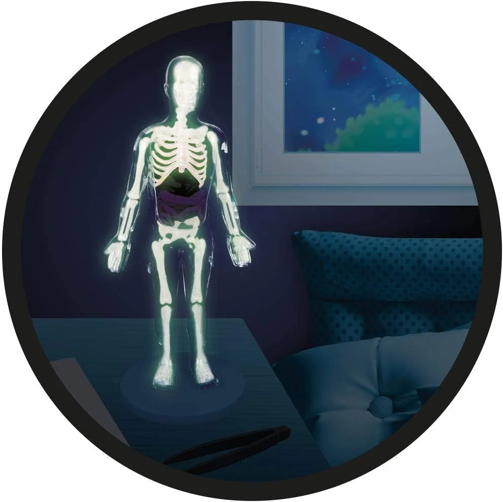 Buki Human Body 2163 - Image 15