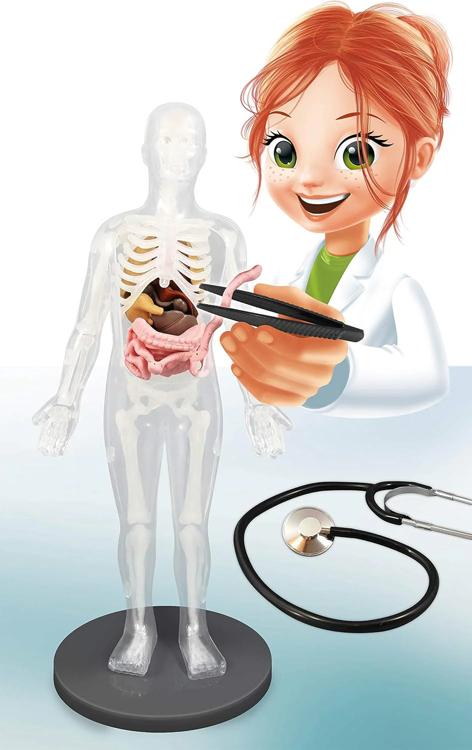 Buki Human Body 2163 - Image 8