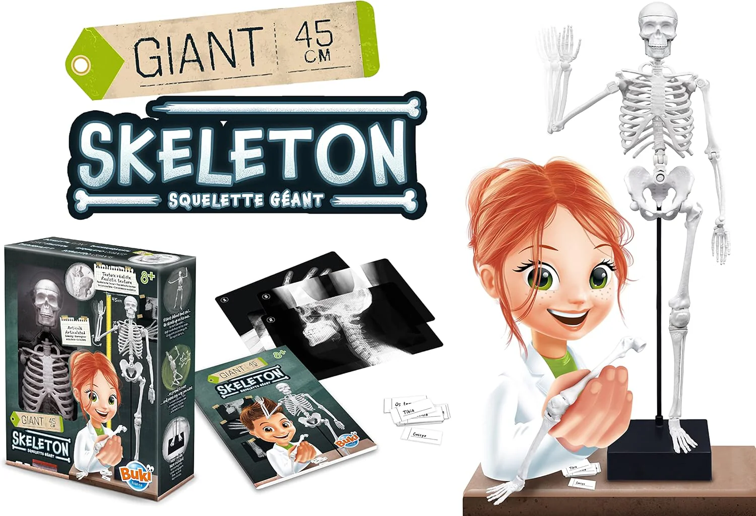 Buki Skeleton 45 cm 2180BK - Image 3