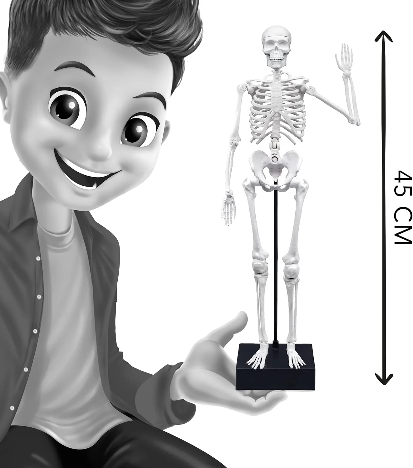 Buki Skeleton 45 cm 2180BK - Image 5