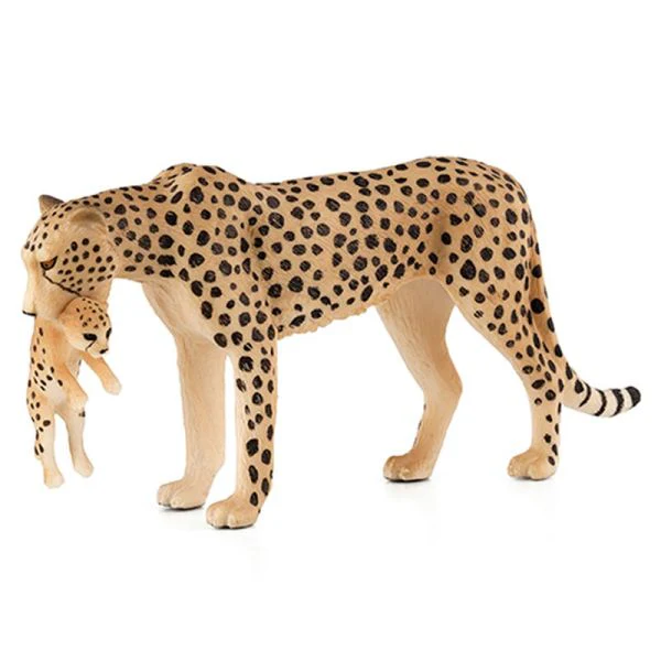 Cheetah with CubXL