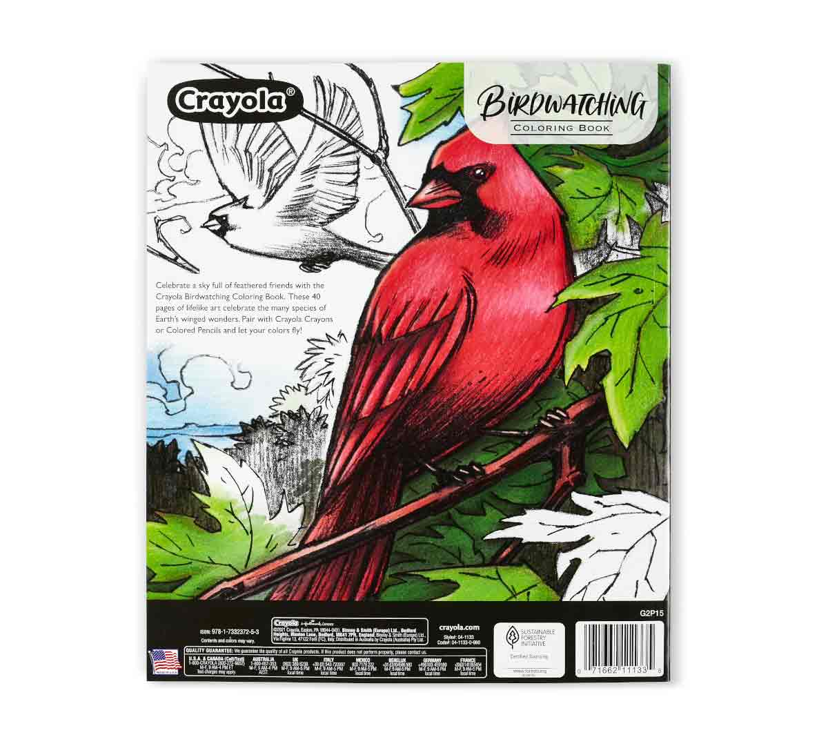 Crayola Colouring Book - Bird Watching 40pages CY04-1133 - Image 2
