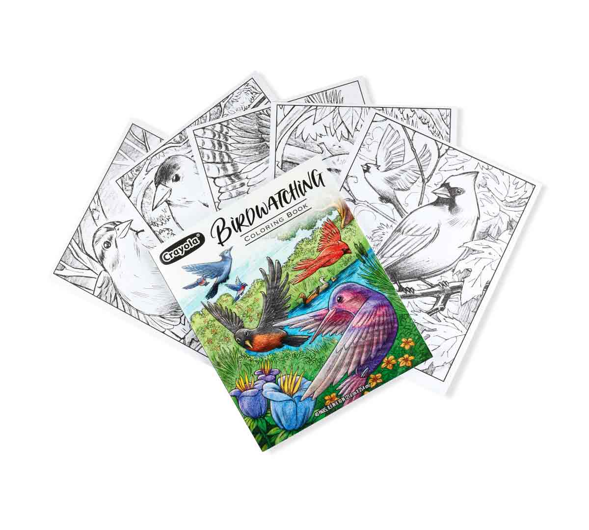 Crayola Colouring Book - Bird Watching 40pages CY04-1133 - Image 6