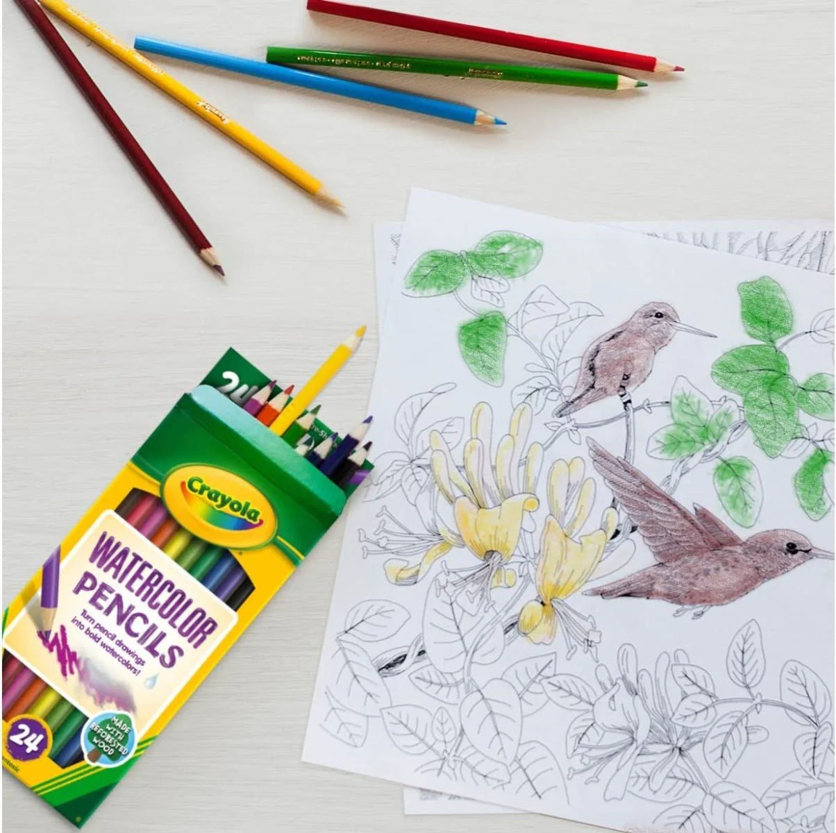 Crayola Watercolor Pencils 24ct 68-4304 - Image 3