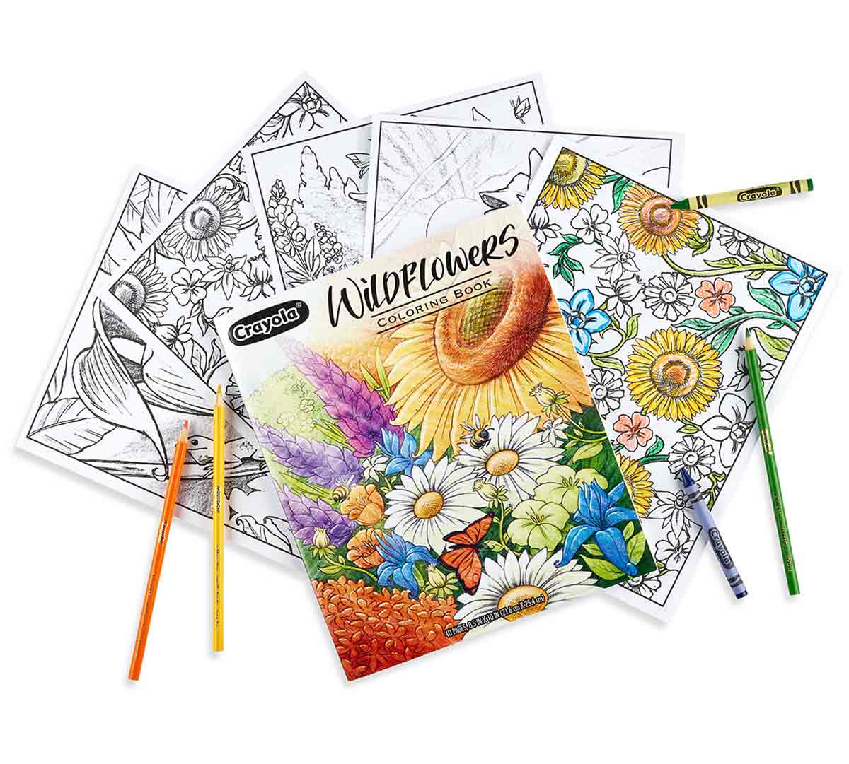 Crayola Wildflower Adult Coloring Book 40pages CY04-1135 - Image 2