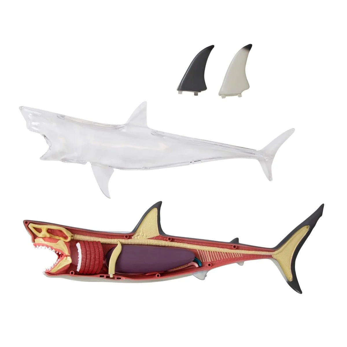 Discovery Mindblown 4D Shark Anatomy Kit 6000554