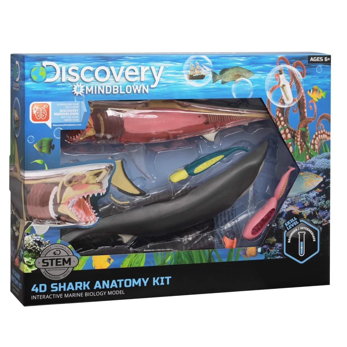 Discovery Mindblown 4D Shark Anatomy Kit 6000554 - Image 2