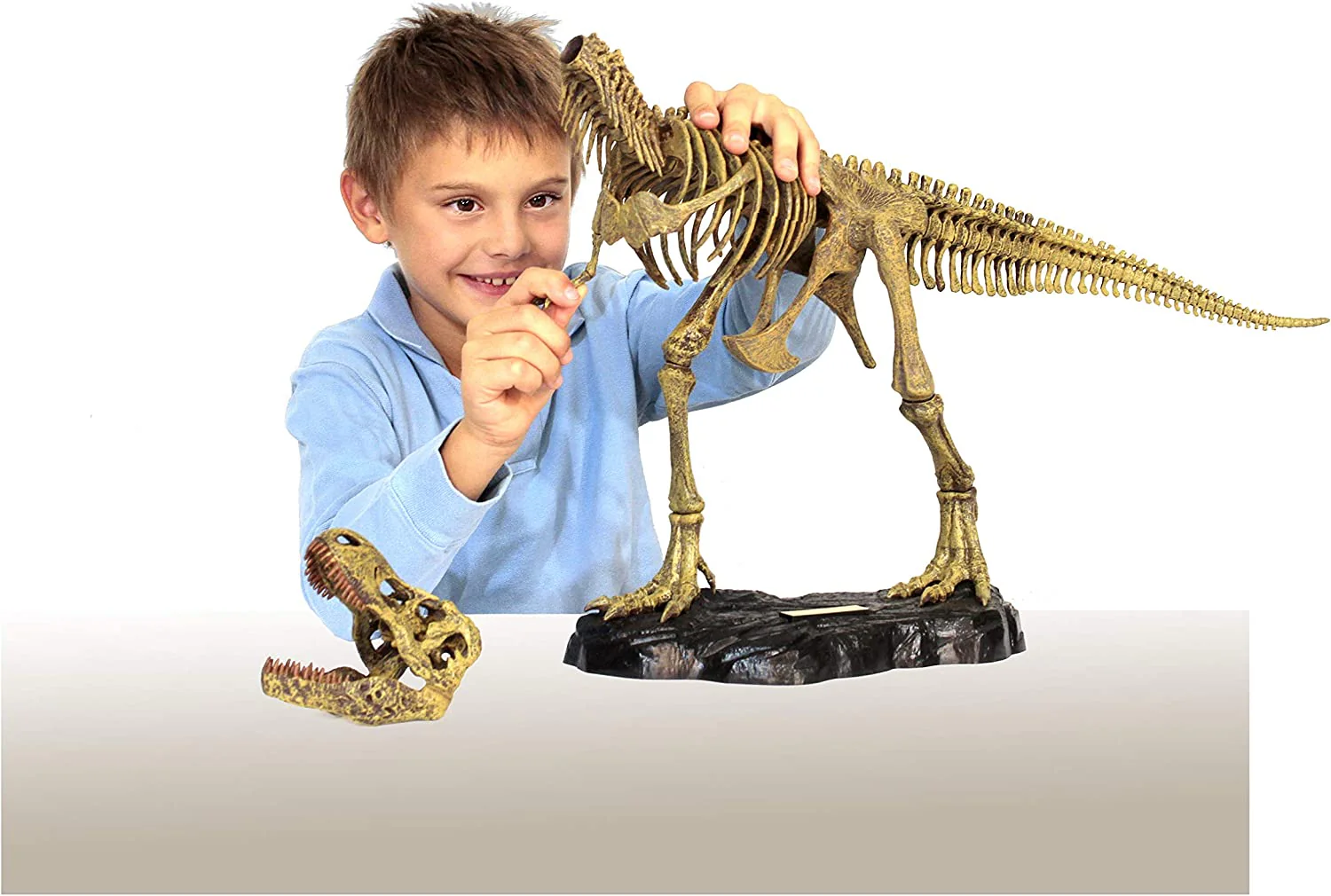 DR. STEVE HUNTERS T. REX REPLICA SKELETON 91082 - Image 3