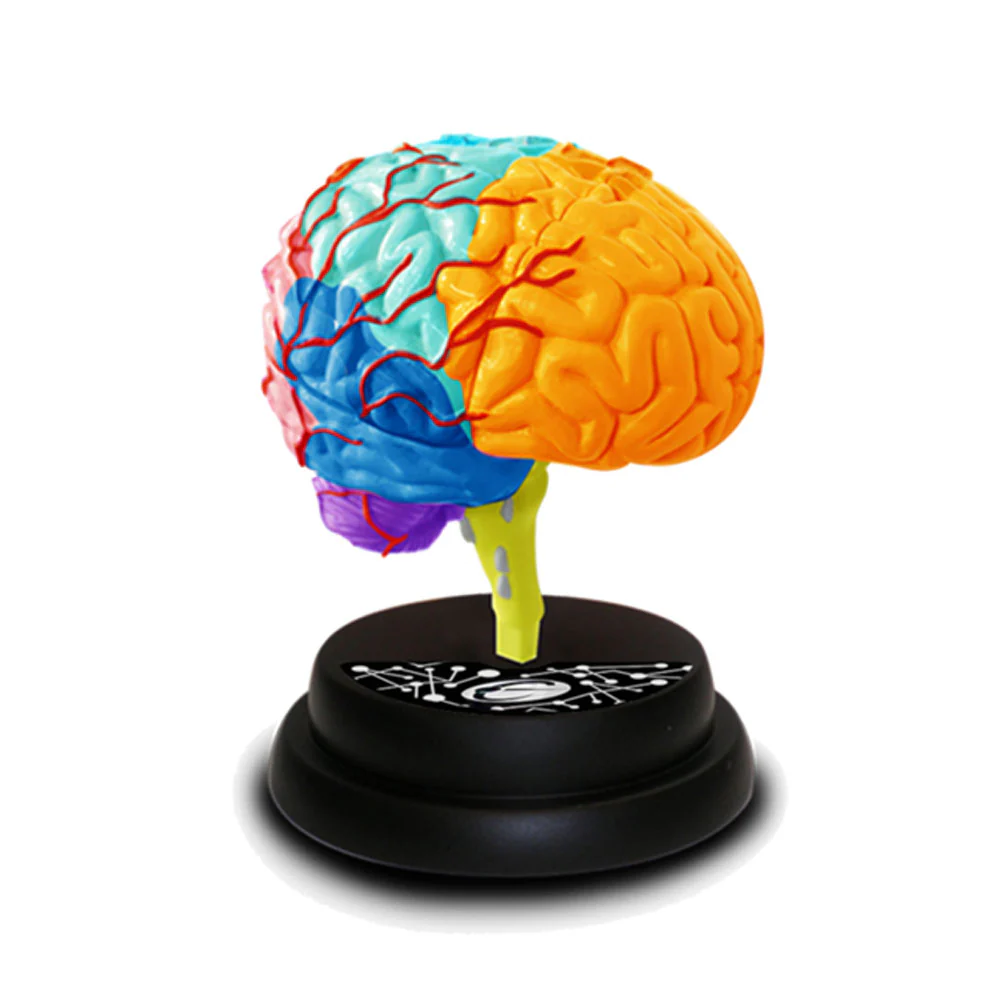 Eastcolight Ar Brain Professional Model 35001 - Image 3