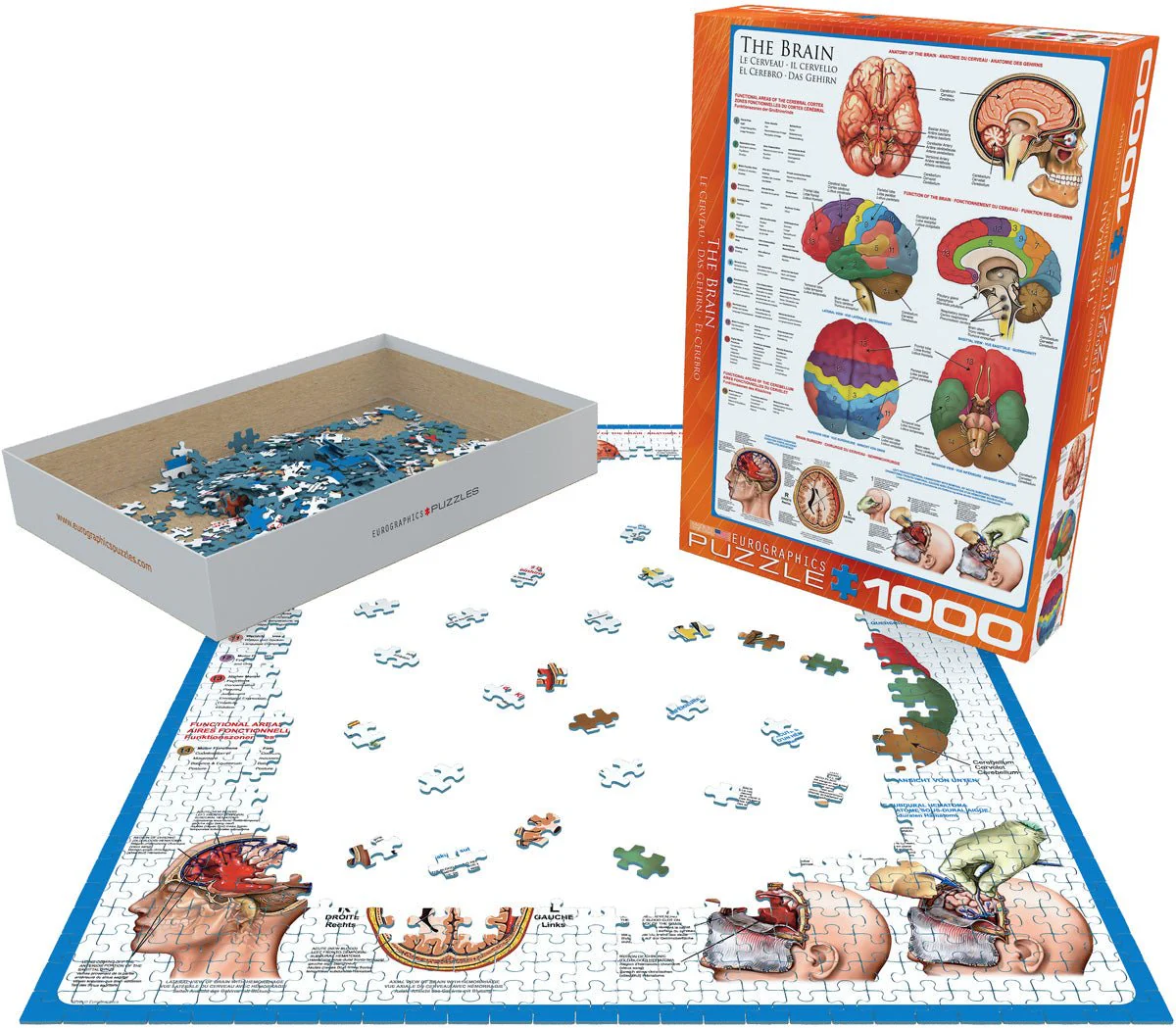 Eurographics Puzzle 1000-Pcs The Brain 6000-0256 - Image 3