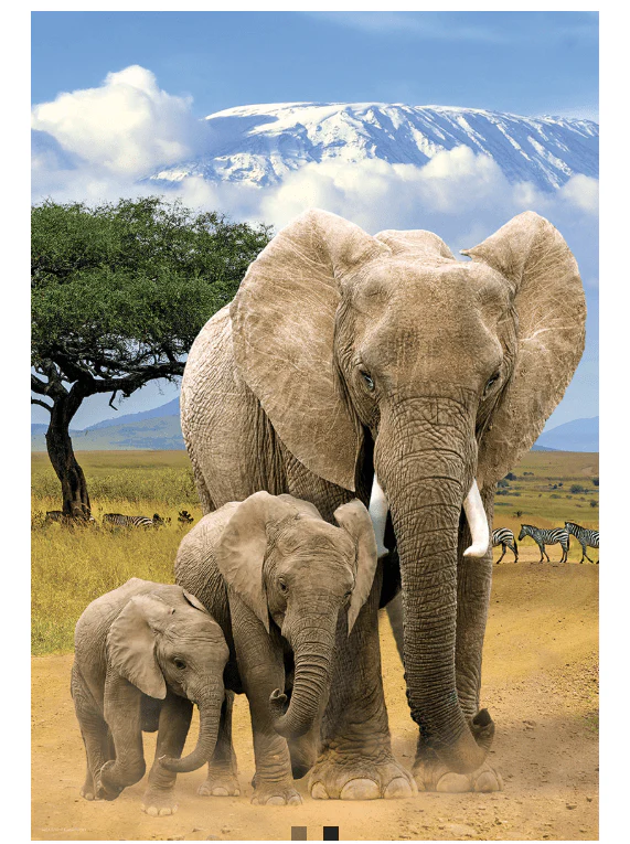 Eurographics Puzzle 250-Pcs Elephants 8251-5787 - Image 2