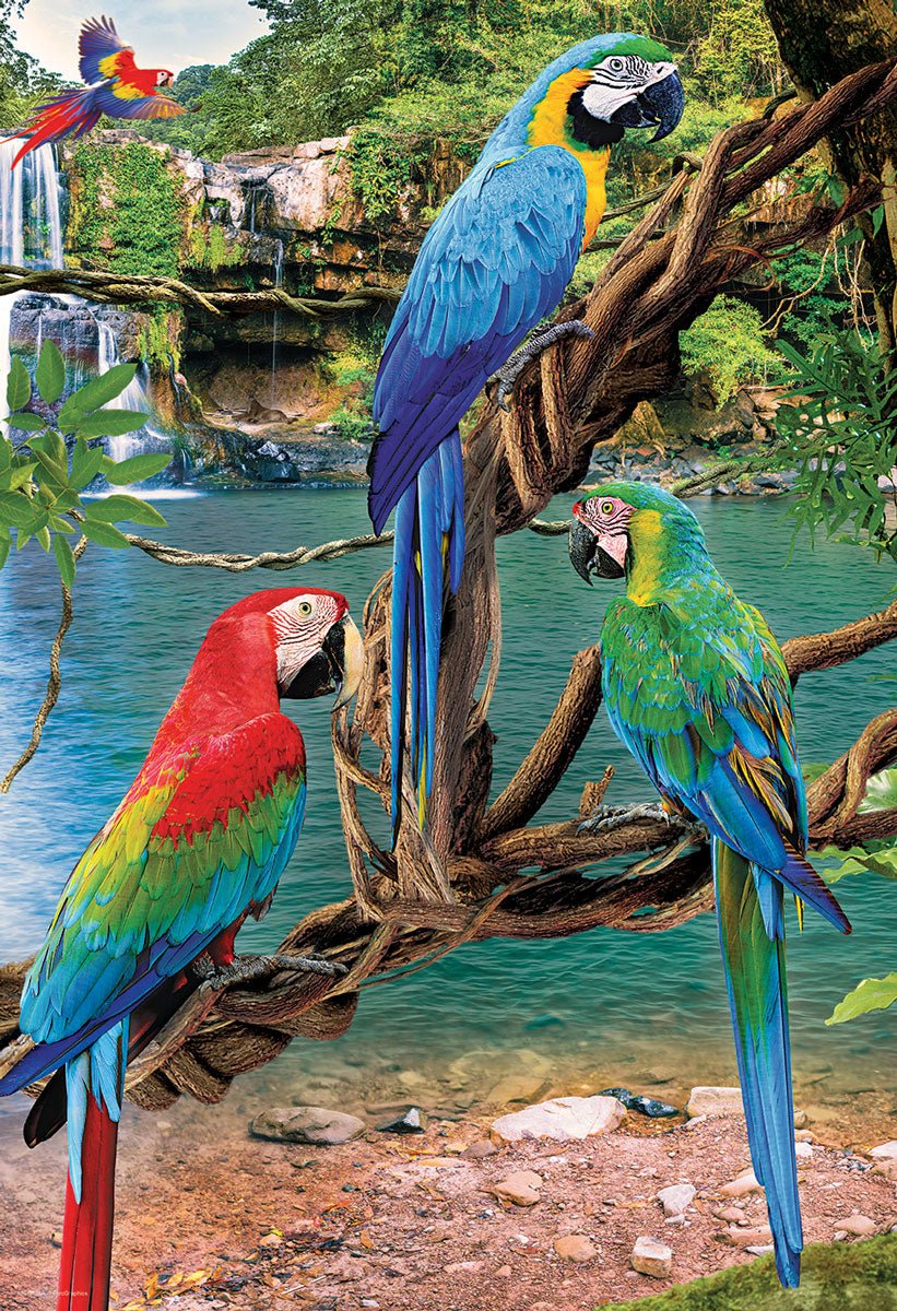 Eurographics Puzzle 250-Pcs Macaws 8251-5588 - Image 2