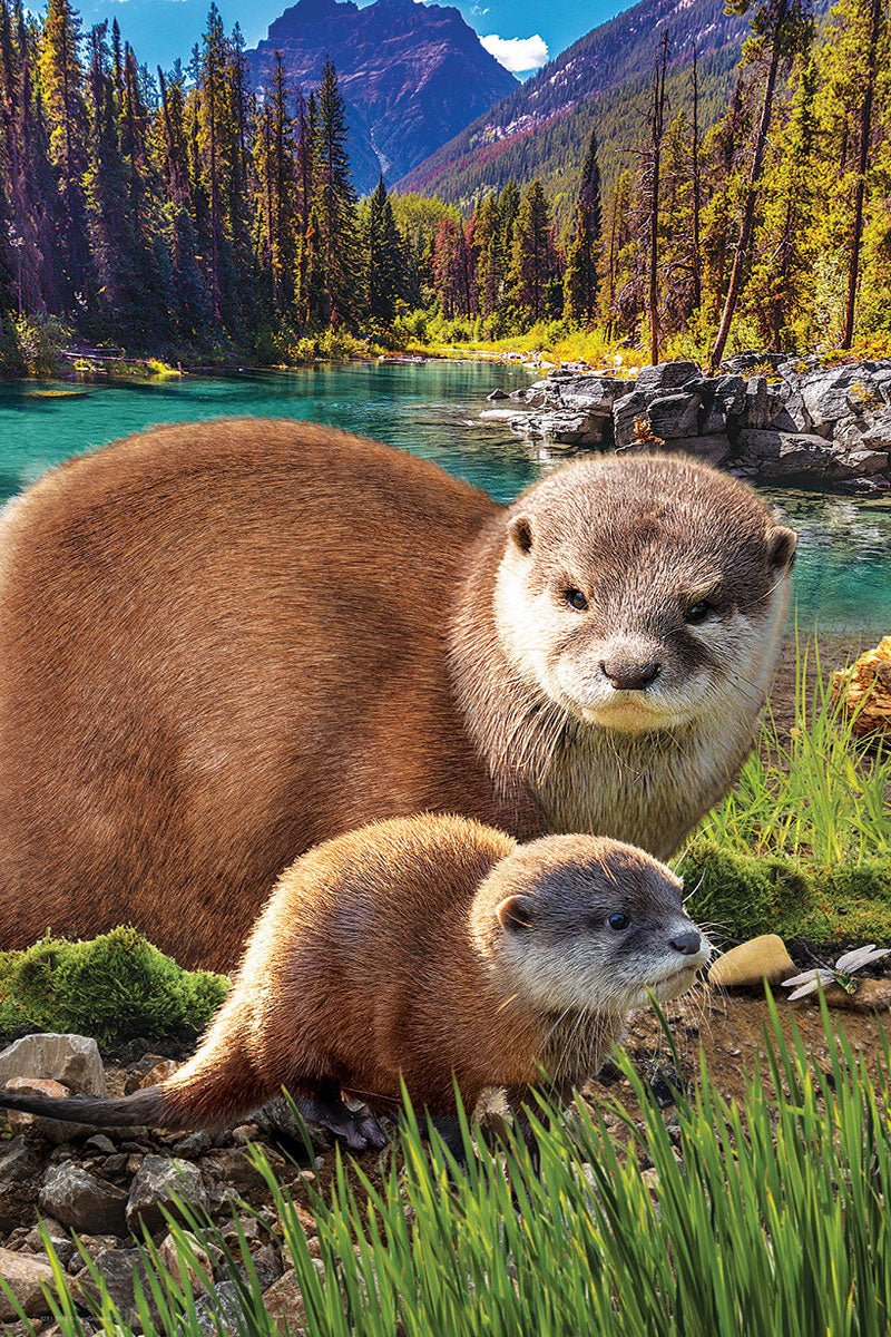 Eurographics Puzzle 250-Pcs Otters 8251-5558 - Image 2