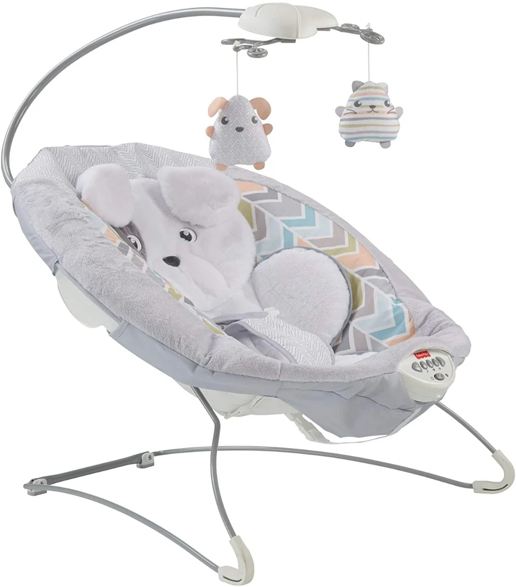 Fisher-Price Sweet Snugapuppy Deluxe Bouncer GWD50