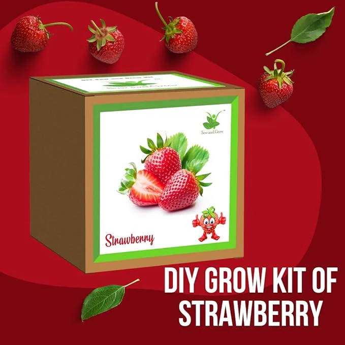 Gardening Kit Strawberry/Mint PG-7706/10C - Image 2