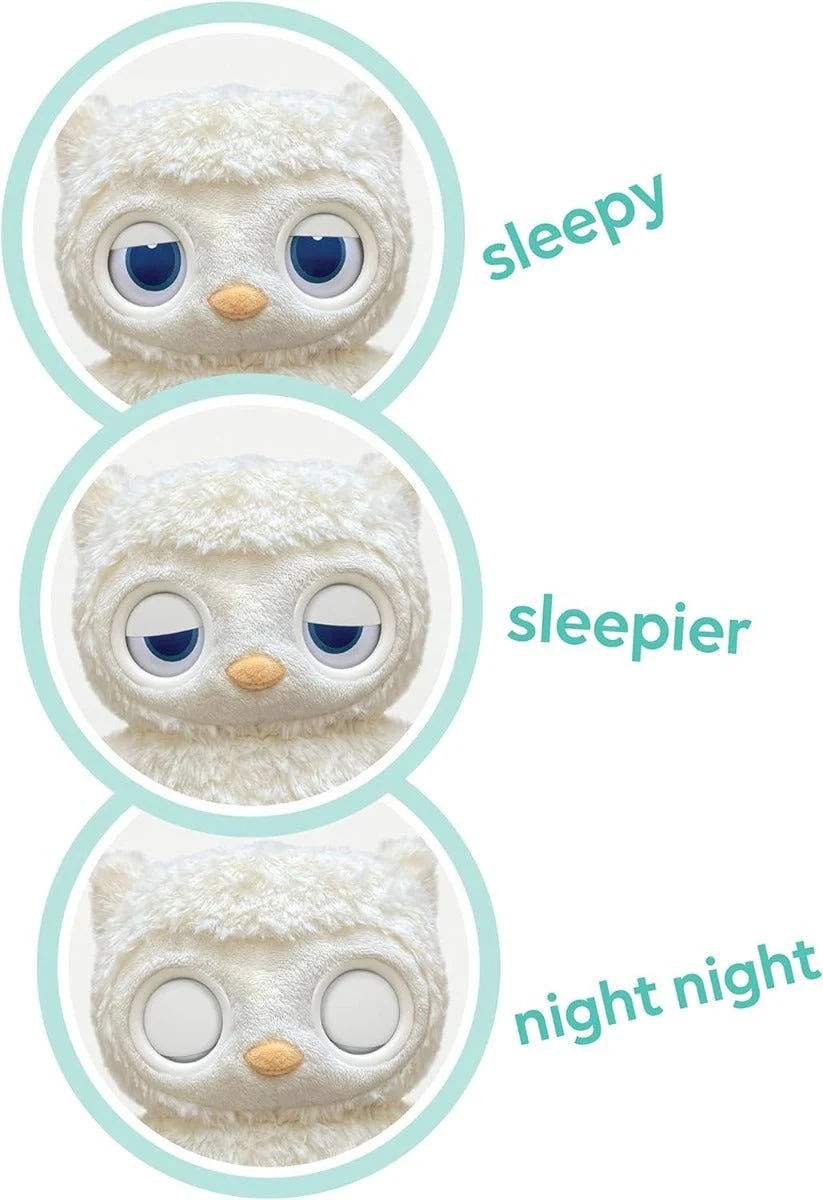Gund Sleepy Eyes Owl Soother 6061071 - Image 2