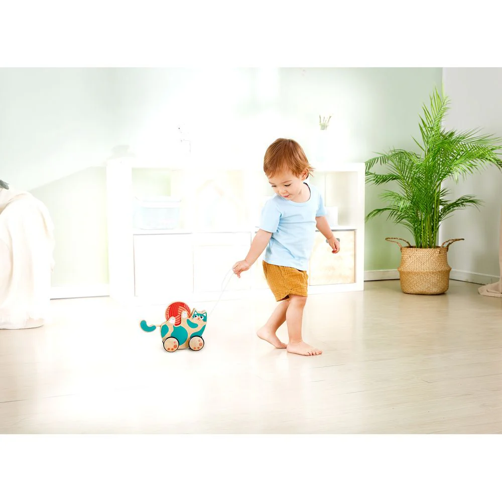 Hape 2-in-1 Wooden Pull-Along Roll & Rattle Kitten - Image 6