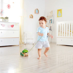 Hape Frog-Themed Push & Pull Along Toy - Image 2
