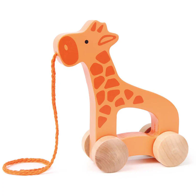 Hape Giraffe-Themed Push & Pull Along Toy