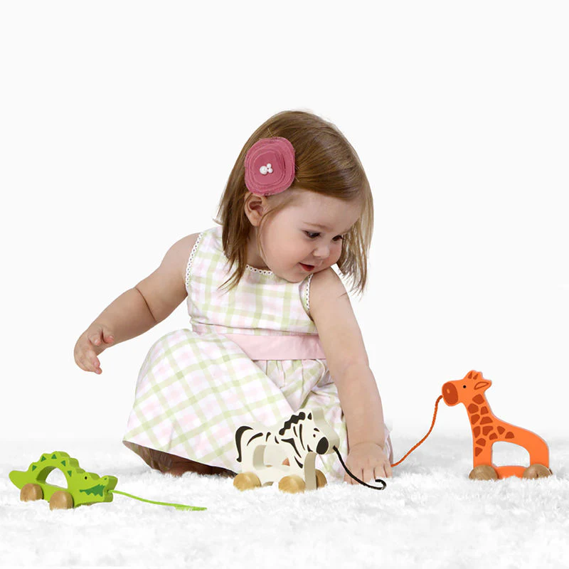 Hape Giraffe-Themed Push & Pull Along Toy - Image 3