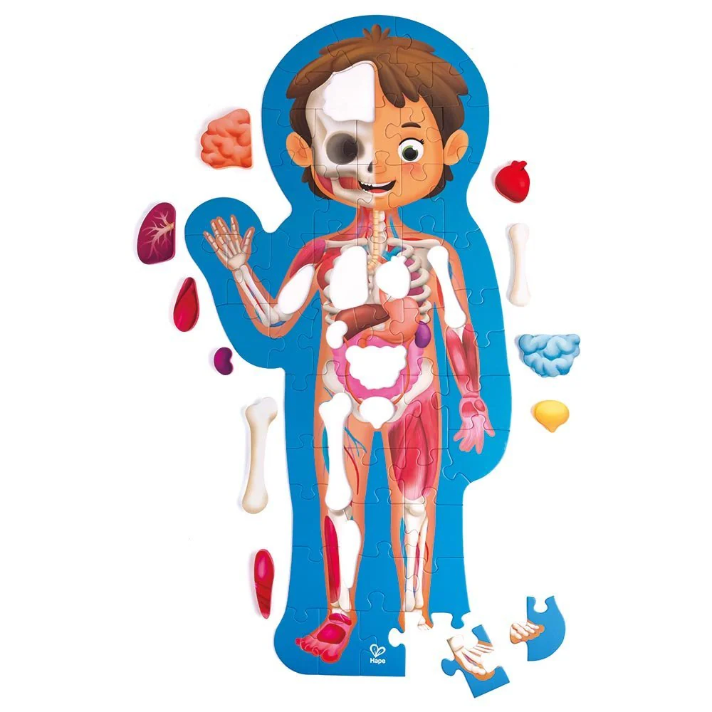 Hape Human Body Jigsaw Puzzle 60pcs w/ 10 pcs Wooden Body Parts - Image 5