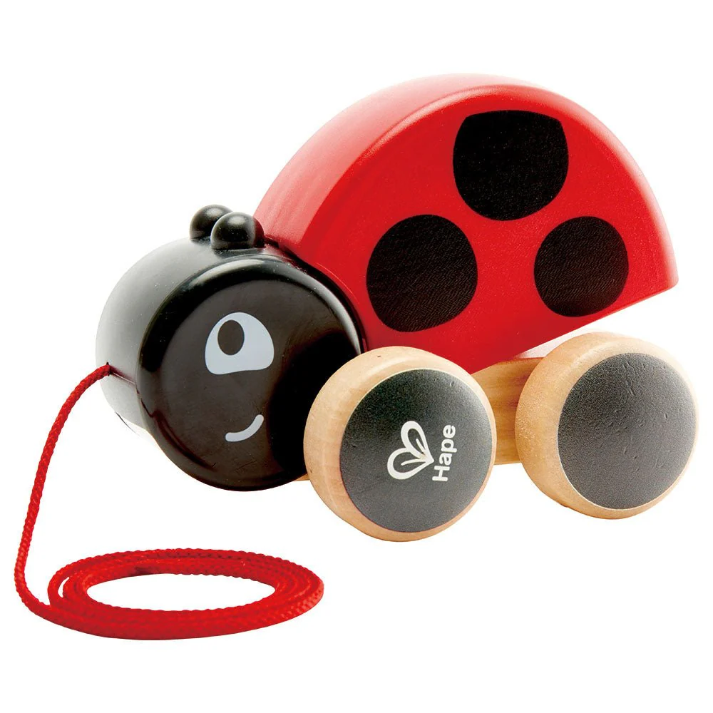 Hape Ladybug Push & Pull Along Toy