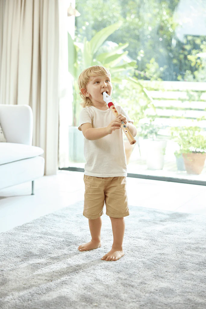 Hape Mini Musician's Starter Recorder E0640 - Image 2