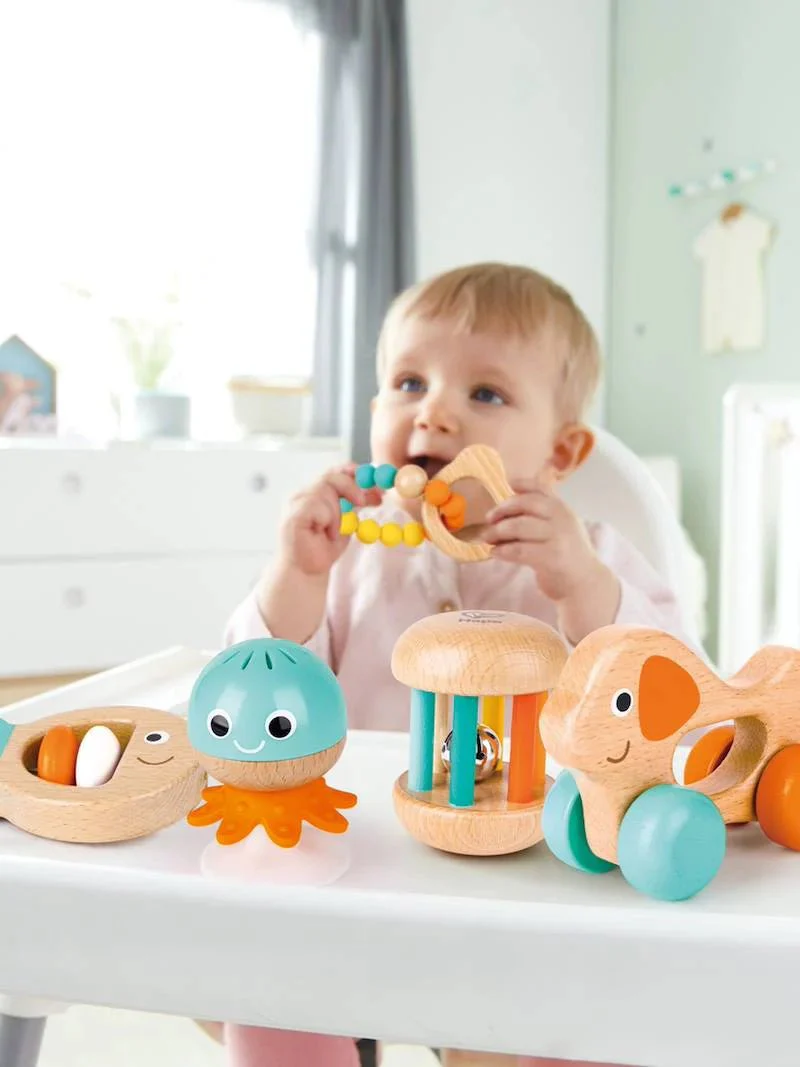 Hape Multi-stage Sensory Gift E0125 - Image 2
