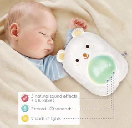 Hape My Musical Pal - Huggy Bobo E0115 - Image 2