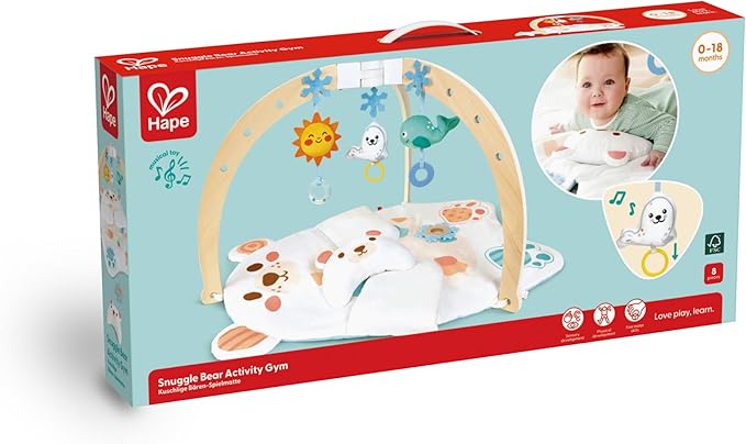Hape Snuggle Bear Activity Gym E0074