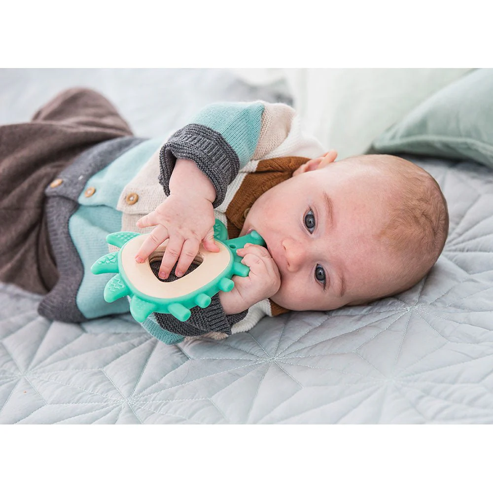 Hape Teether Hedgehog