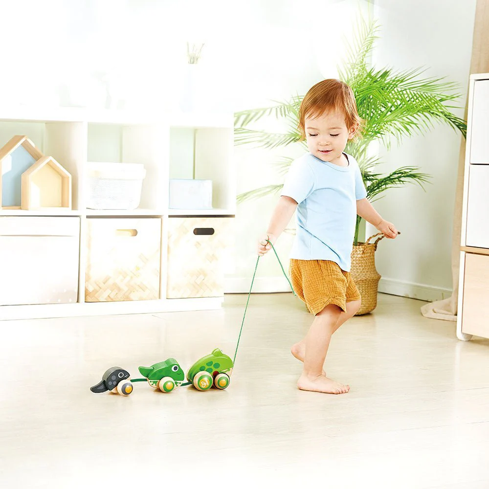 Hape Wooden Frog-Themed Push and Pull-Along Toy - Image 8
