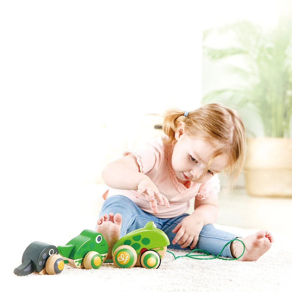 Hape Wooden Frog-Themed Push and Pull-Along Toy - Image 9