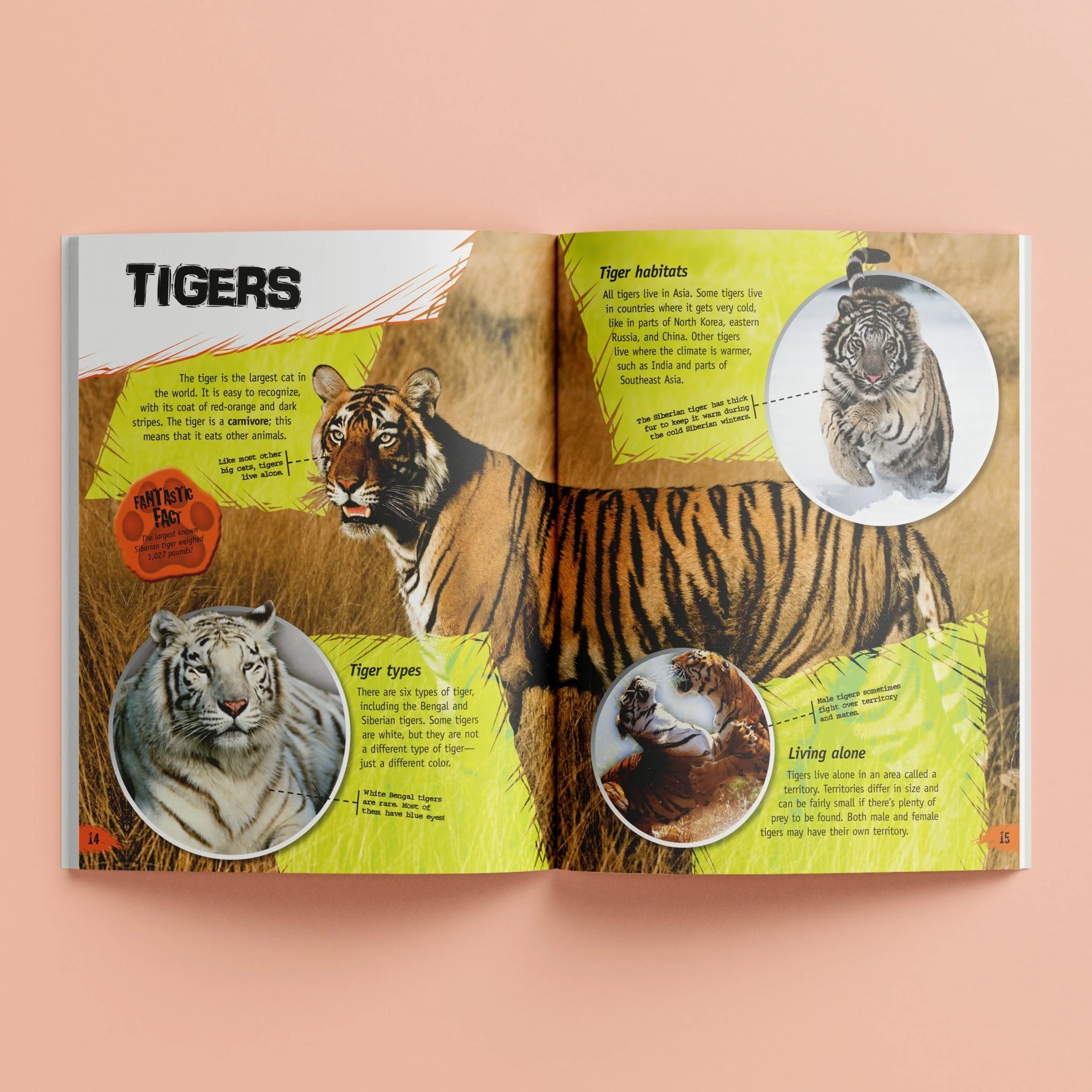 Hinkler Incredible But True: Animals HST00130 - Image 2
