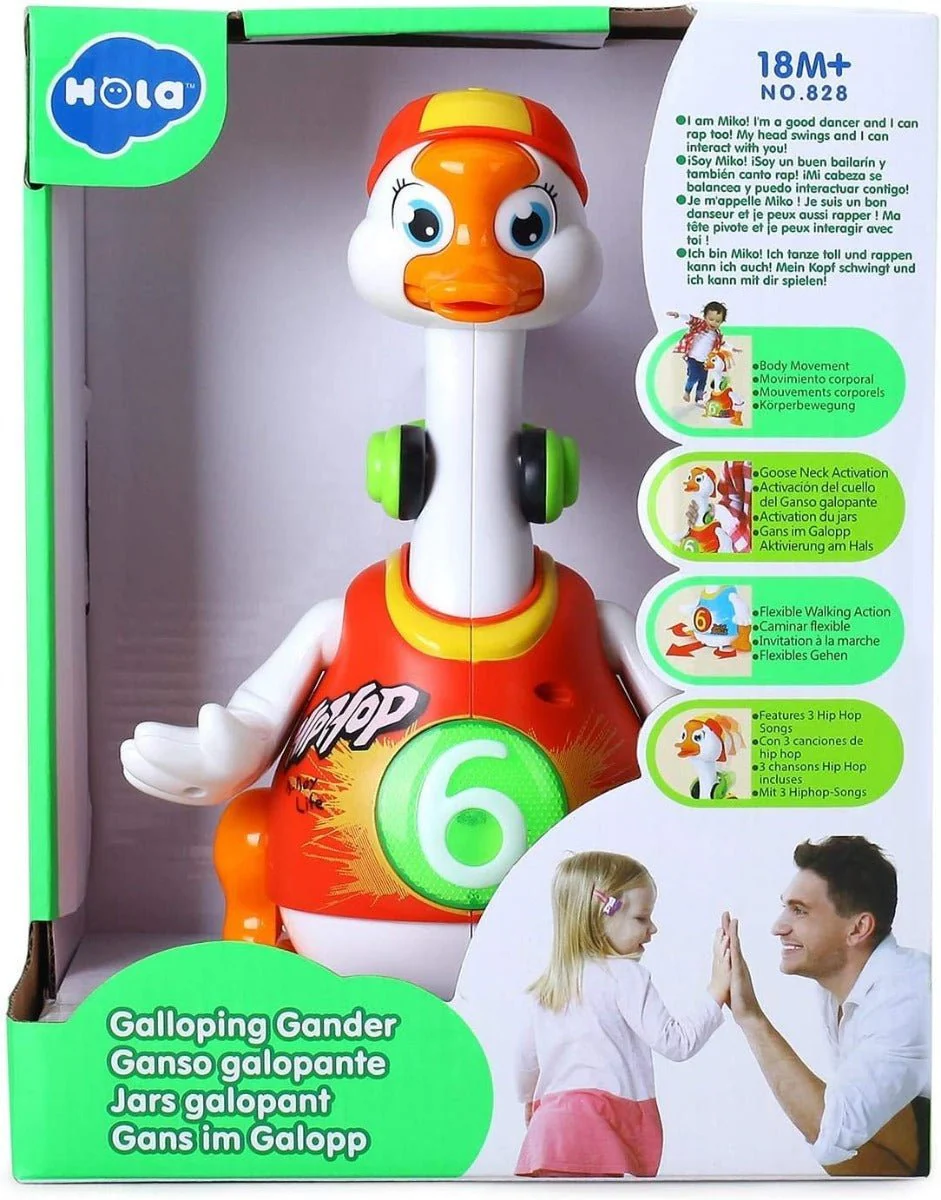 Hola Swing Goose B1155/828