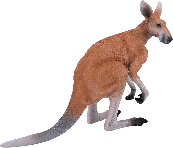 KANGAROO - Image 2
