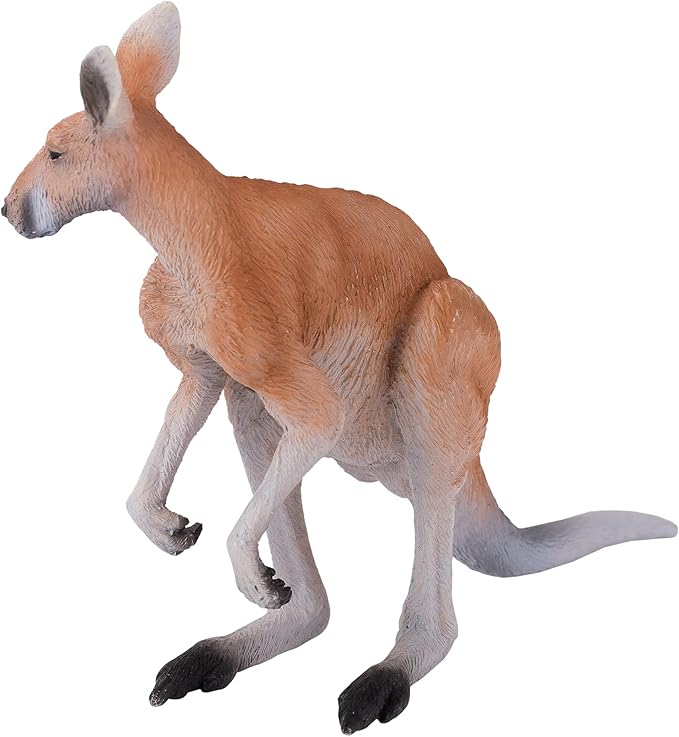 KANGAROO - Image 3