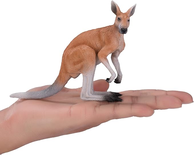 KANGAROO - Image 4