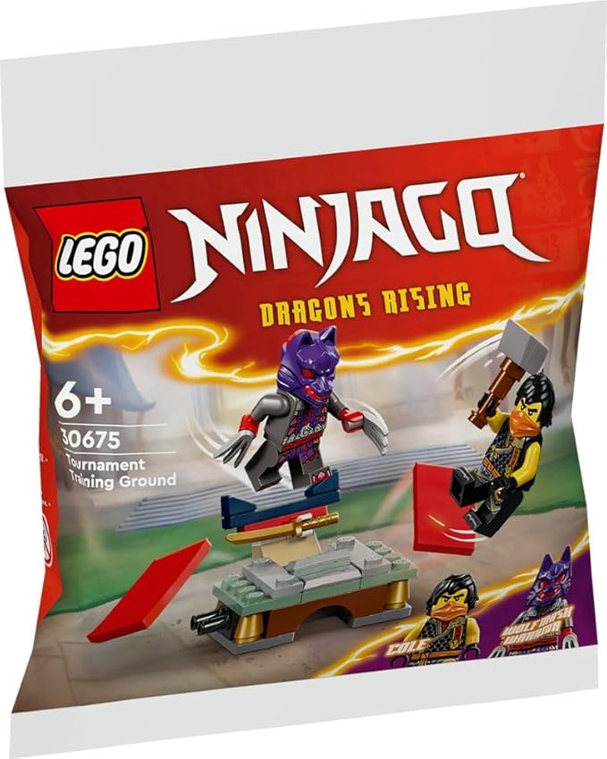 LEGO Tournament Training Ground 30675 - Image 2