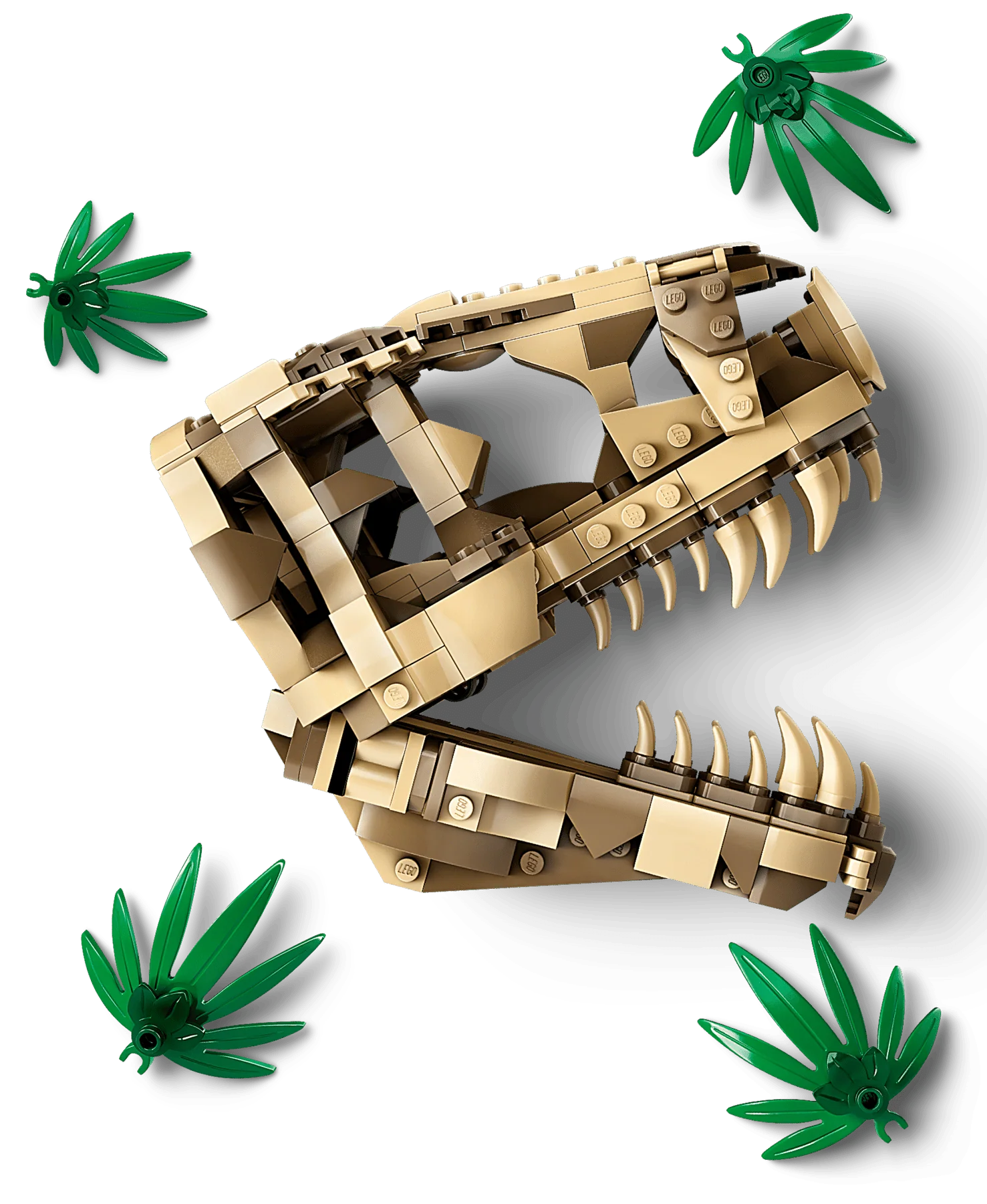 LEGO Dinosaur Fossils T.Rex Skull - Image 4