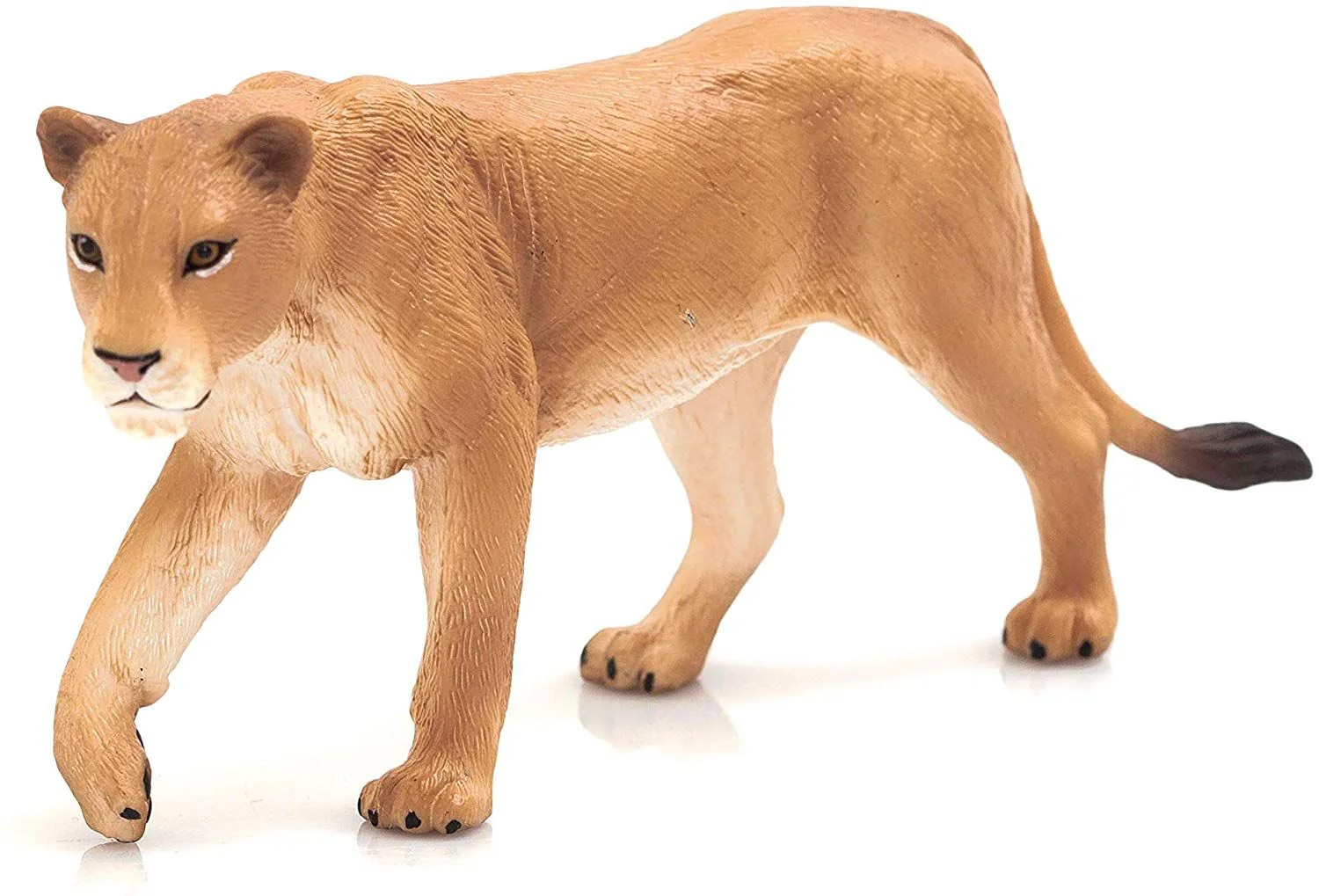 Lioness